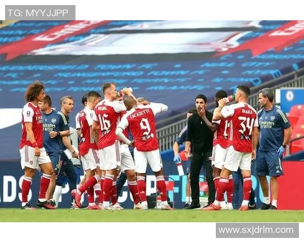 足总杯激战阿森纳与里昂握手言和红牌事件引发全场热议 足总杯激战阿森纳与里昂握手言和红牌事件引发全场热议